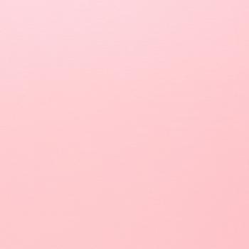 Preview: 95 cm Swafing Vanessa Baumwoll Jersey Uni Hellrosa 431